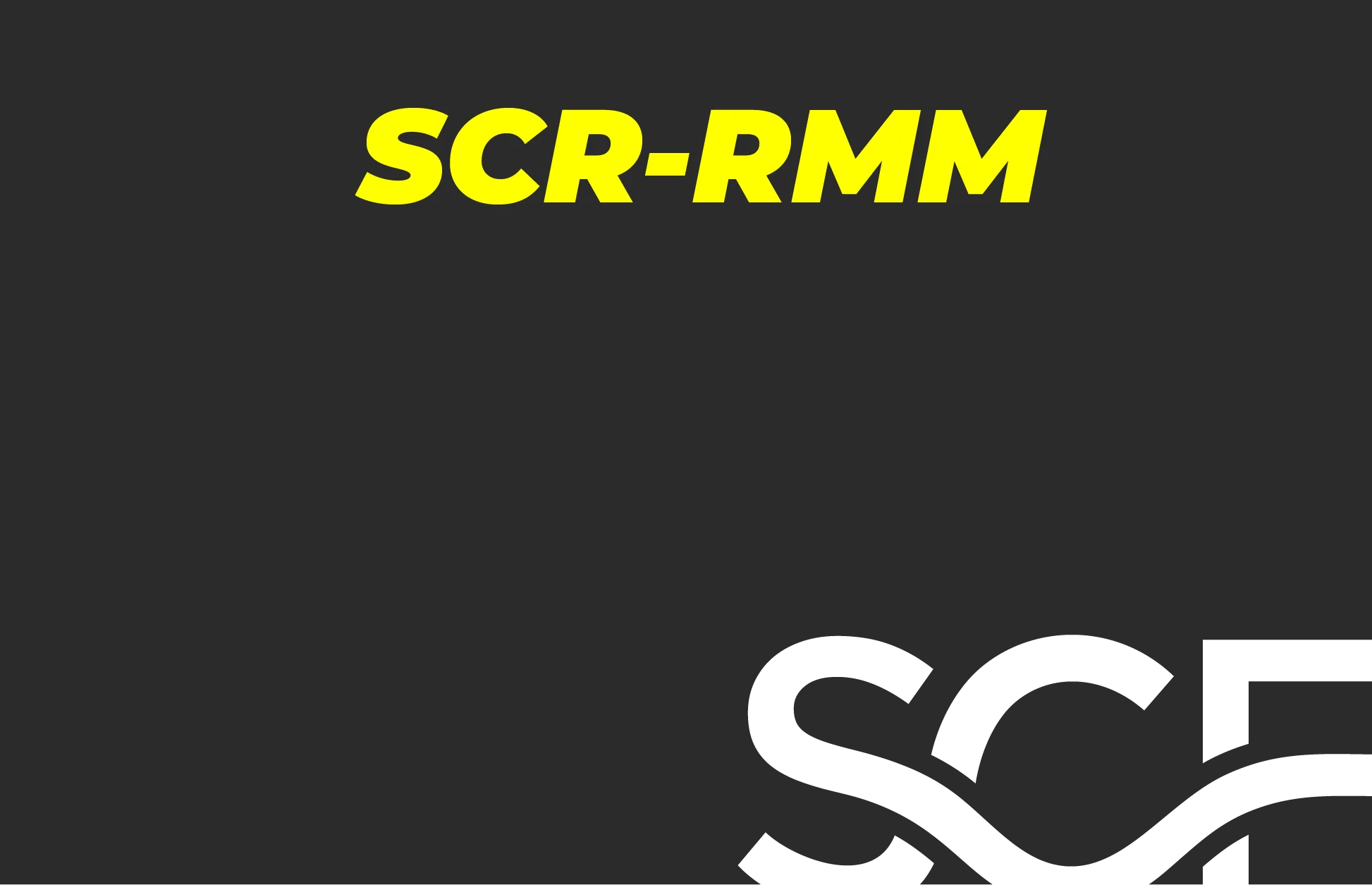 Risk Management Model